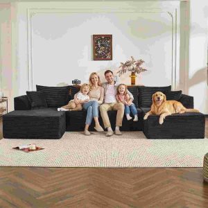 Modular Sectional Couch for Living Room | Modern Sofa